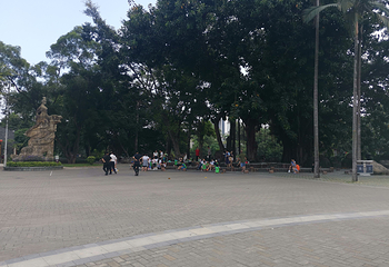 龙岗龙园第 11 张图片