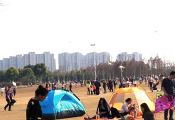 金仓湖第 14 张图片