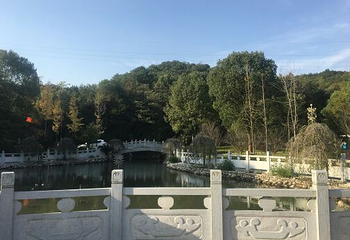 山湖温泉第 38 张图片