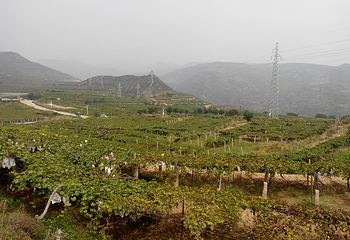 葡峰山荘第 2 张图片