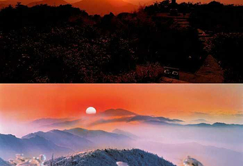 莽山旅游区国家森林公园第 106 张图片