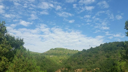 万花山第 16 张图片