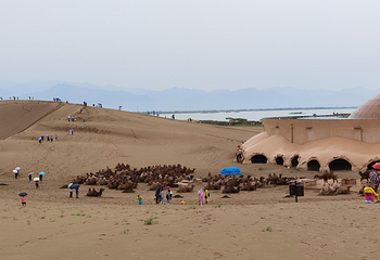 沙湖生态旅游区第 43 张图片