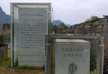 中华武夷茶博园第 34 张图片