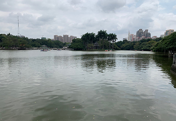 南宁市人民公园第 22 张图片