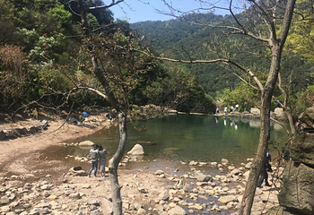 九峰山网岙景区第 12 张图片