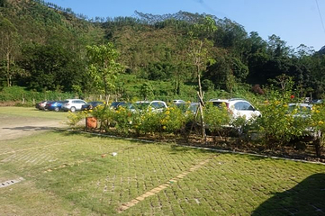 茶山樱花谷主题景区第 22 张图片