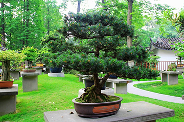 百花潭公园第 38 张图片