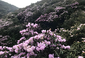 乌蒙大草原第 39 张图片