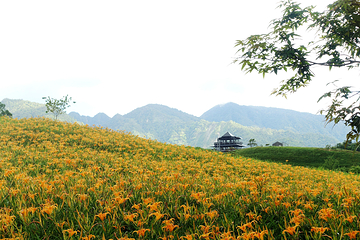 六十石山风景区第 32 张图片