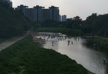 龙岗龙园第 15 张图片