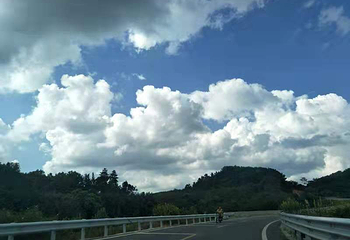 海南百花岭热带雨林文化旅游区第 77 张图片