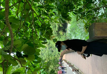 独山天洞景区第 18 张图片