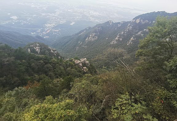 白居易草堂第 4 张图片