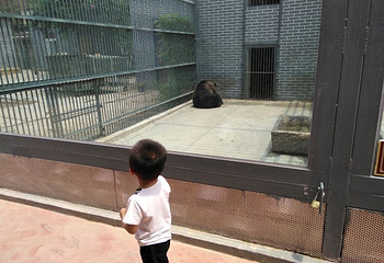 汴京公园第 25 张图片