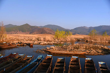 大海草山第 27 张图片