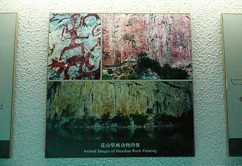 广西壮族自治区博物馆第 42 张图片