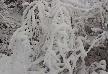 天桥沟滑雪场第 43 张图片