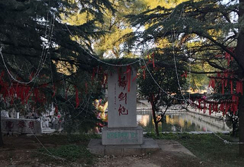 老龙湾第 34 张图片