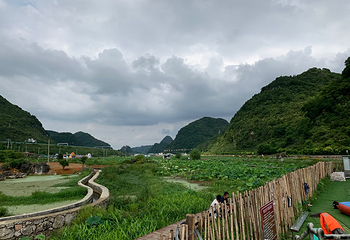 十里荷廊风景区第 18 张图片