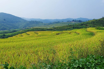 坪山梯田旅游区第 9 张图片