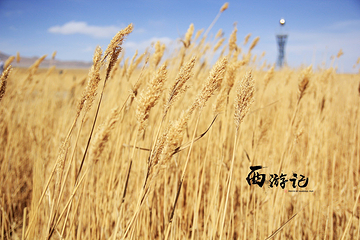大苏干湖第 3 张图片