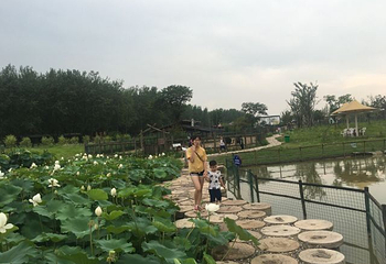 金牛湖风景区第 25 张图片