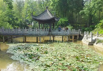 石莲洞国家森林公园第 28 张图片