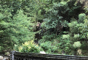 神龙川风景区第 69 张图片
