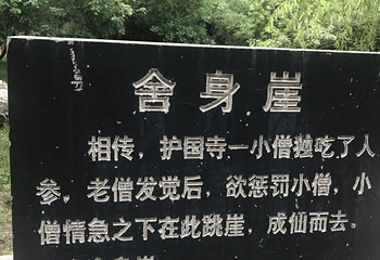 仙台山第 27 张图片