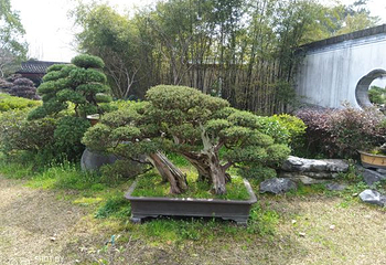 棠樾牌坊群鲍家花园第 29 张图片