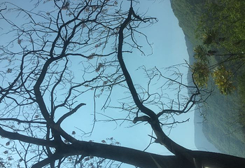 百年好合爱情谷第 44 张图片