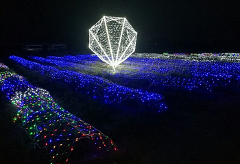 紫海芳庭薰衣草庄园第 24 张图片