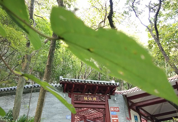 老君洞第 7 张图片