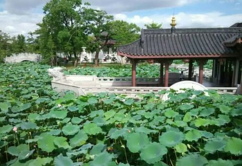 丰渚园第 12 张图片