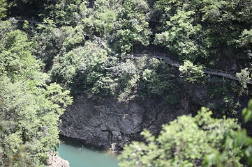 神农大峡谷景区第 23 张图片