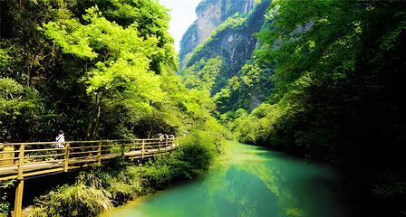 张家界大峡谷第 20 张图片