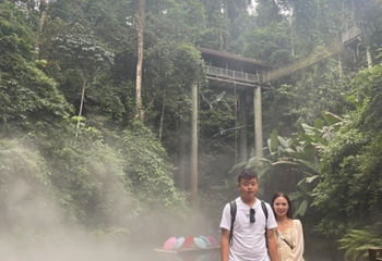 西双版纳热带雨林国家公园望天树景区第 145 张图片