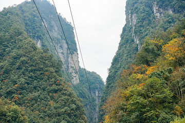 东拉山大峡谷第 16 张图片