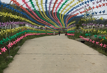 万州奇芳花谷第 12 张图片