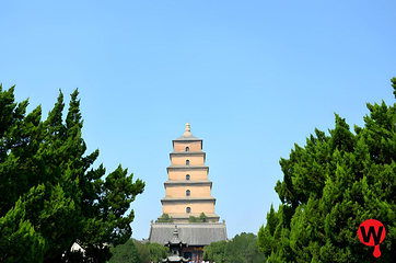 大雁塔第 171 张图片