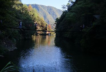 醉山野景区第 90 张图片