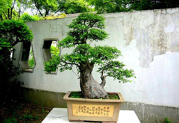 吟苑公园第 7 张图片