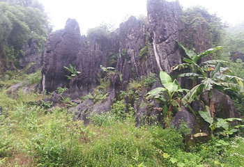 思南石林风景区第 13 张图片