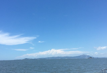 鹭江悠游（旅游客运码头）第 11 张图片