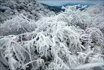 月亮山第 5 张图片