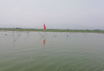 凉城岱海第 35 张图片