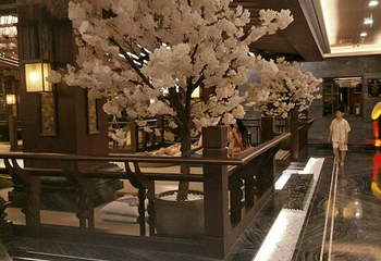 三鼎园国际酒店温泉第 27 张图片