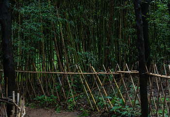 马陵山风景名胜区第 33 张图片