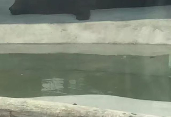 光合谷旅游度假区第 72 张图片